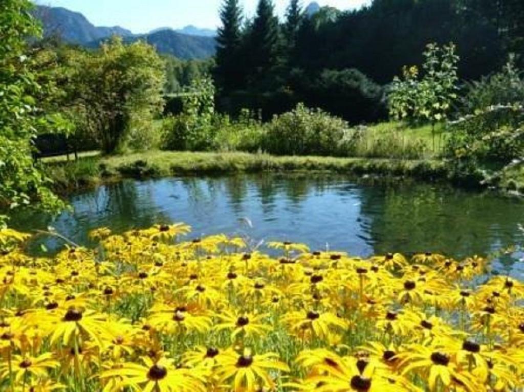 Ferienwohnungen Quellenhof Bad Reichenhall Luaran gambar